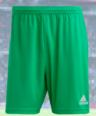 Calção Treino Verde