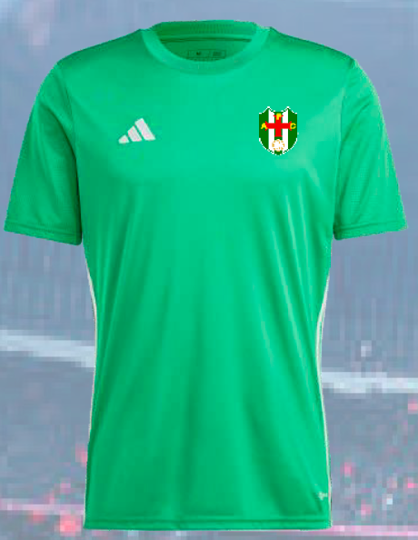 Camisola Treino Verde